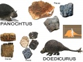 3-Doedicurus-Panochtus.jpg
